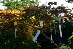 180715bおふさ観音16+