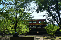 241006梅小路公園04