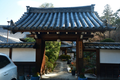 260123d新善光寺09
