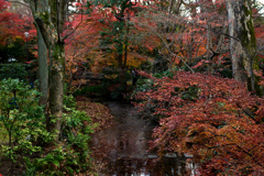 171209d京都家裁37+