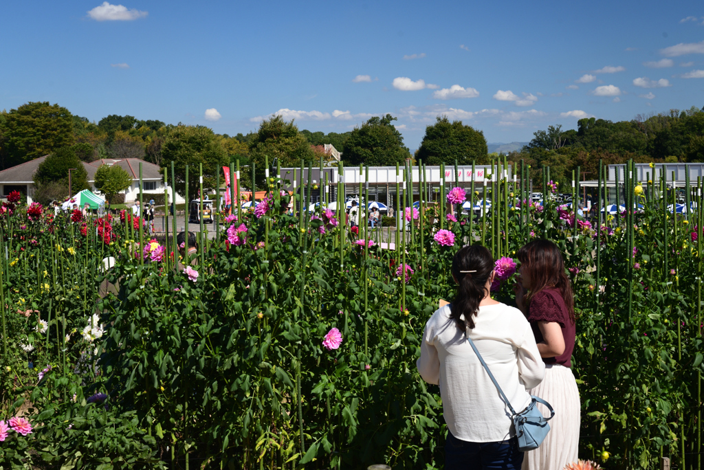 221014馬見丘陵公園23