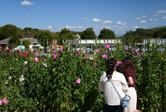 221014馬見丘陵公園23