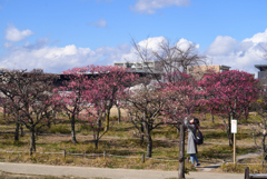 220222e梅小路公園40