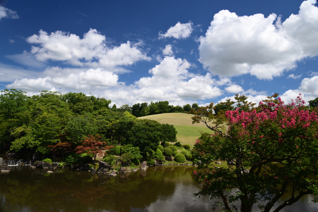 220729万博公園25