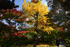 221111c常寂光寺27