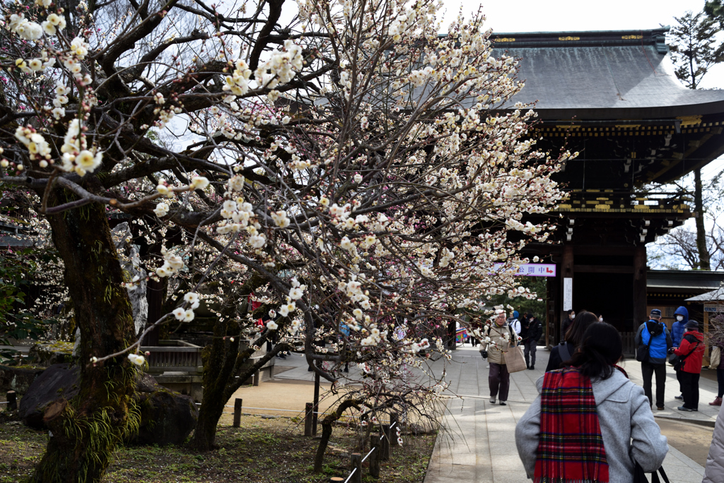 190214c北野天満宮12
