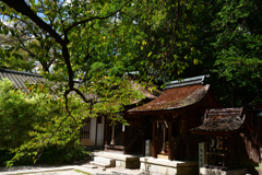 230905a京都御苑04