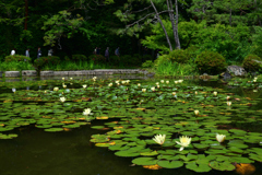 220607平安神宮52