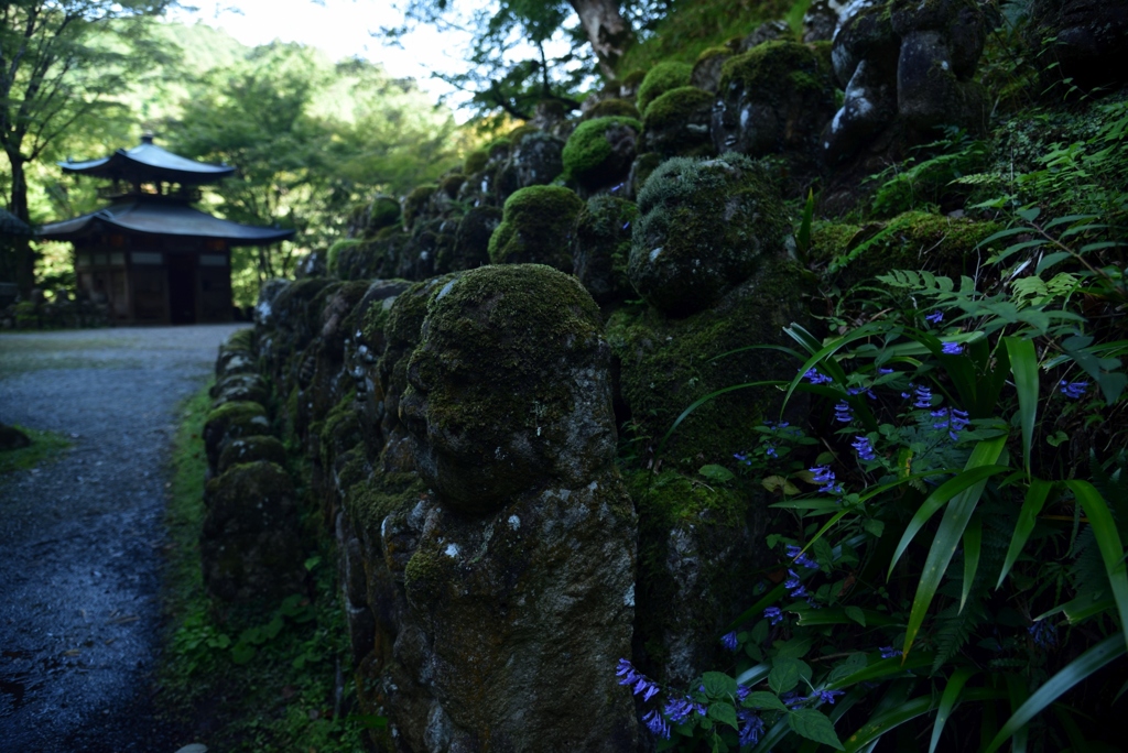 181018b愛宕念仏寺18