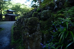 181018b愛宕念仏寺18