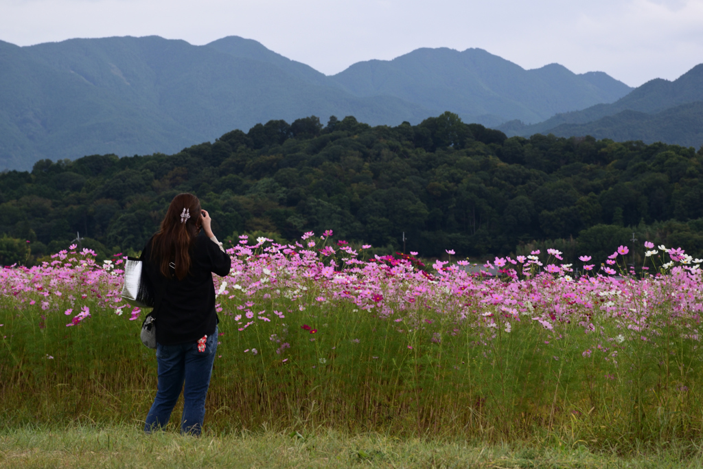 211018a藤原宮跡49