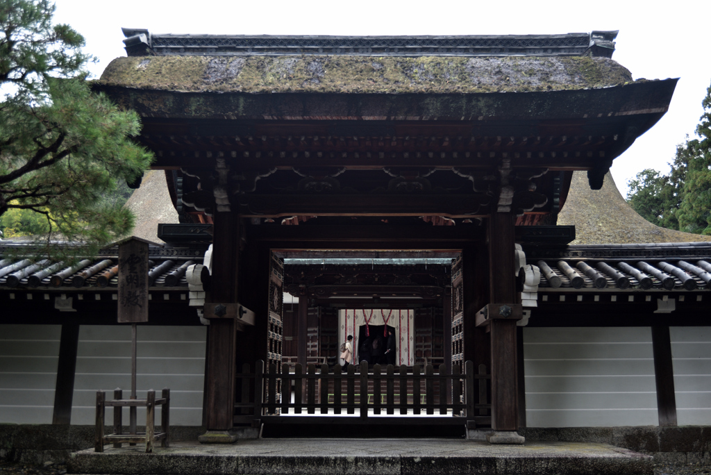 200124b泉涌寺22