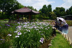 220610城北公園17