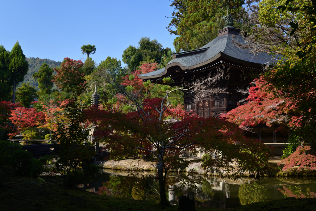 221111a清凉寺14