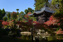 221111a清凉寺14