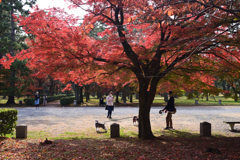 211121b京都御苑27