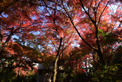 211119d壇林寺07