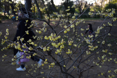 200211b京都御苑29 200211b京都御苑29