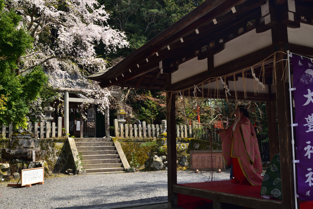 190406c哲学の道23