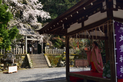 190406c哲学の道23