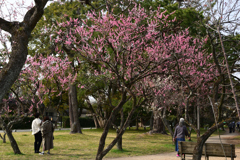 220325d京都御苑41