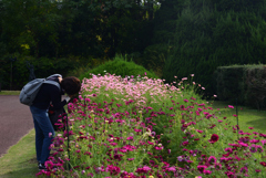241025京都植物園08