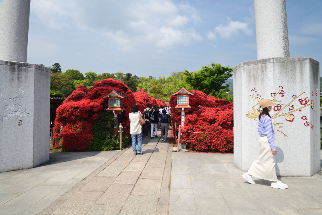 220423長岡天満宮03