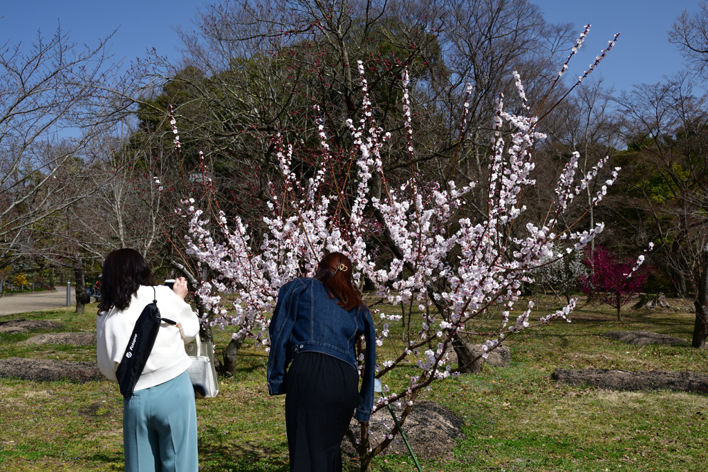 230311京都植物園43