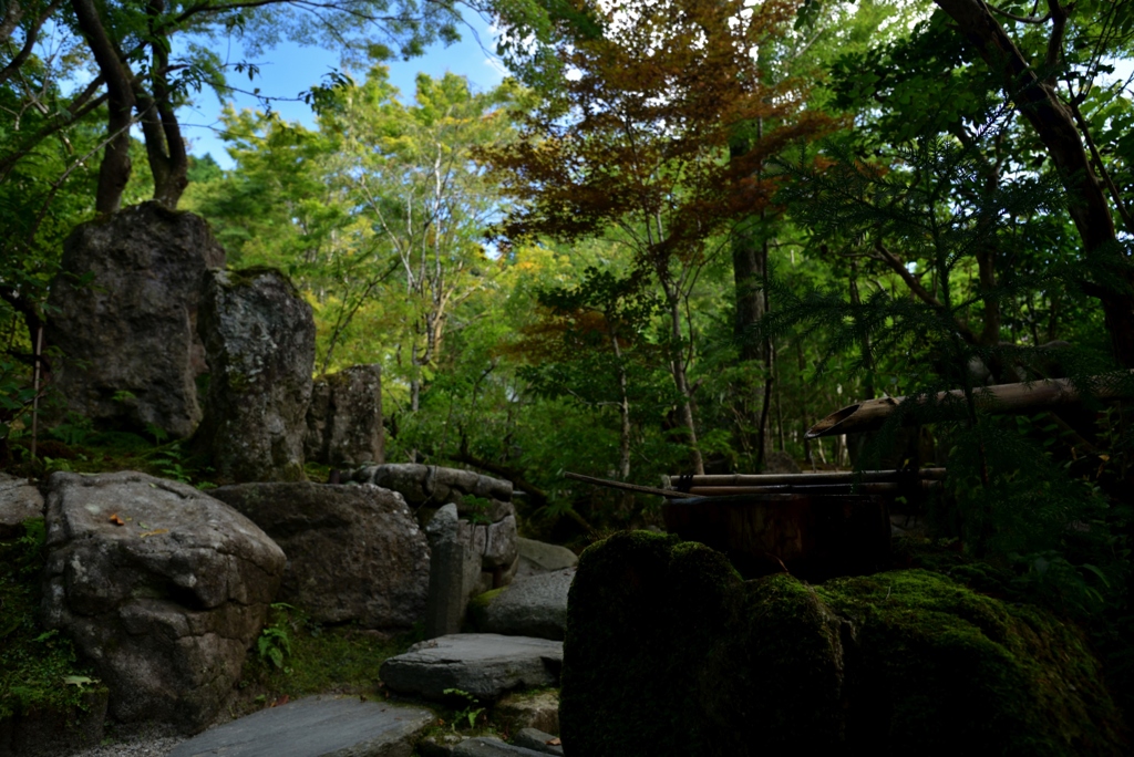 180928大原宝泉院22+