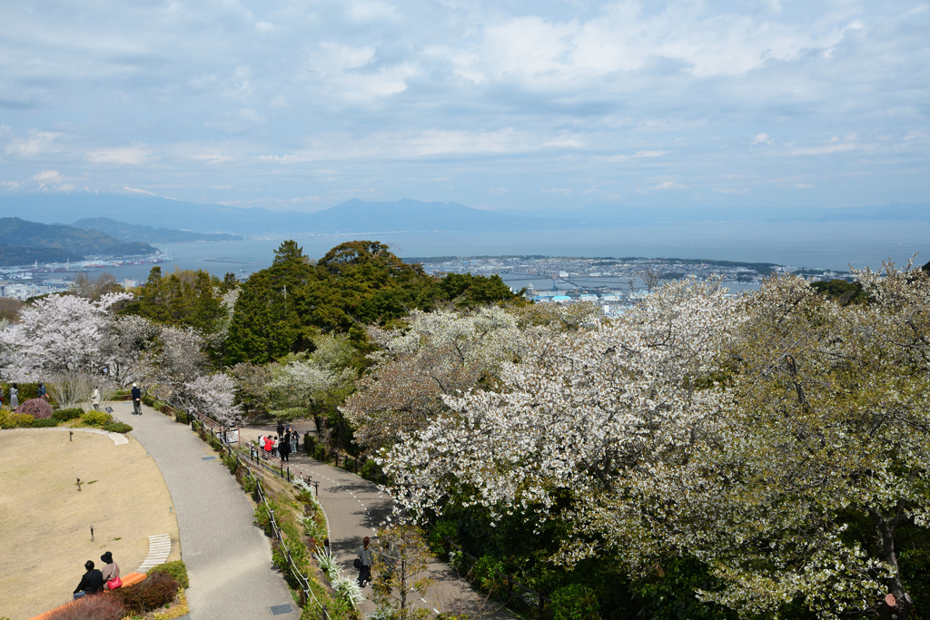 250405a日本平18