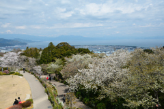 250405a日本平18