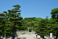 250605b大仙公園38