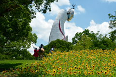 250712万博公園53