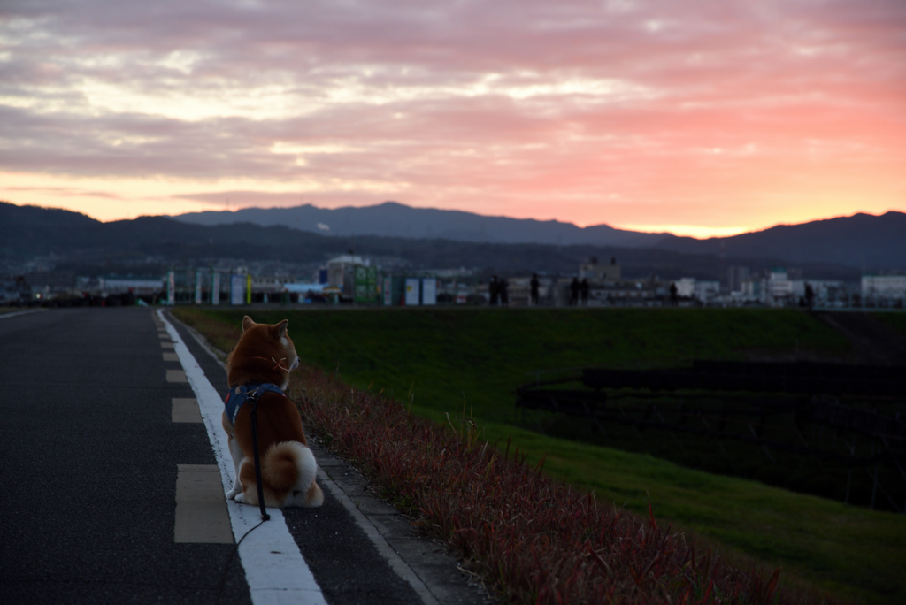 200101流れ橋07