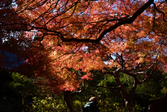 211129b不退寺41