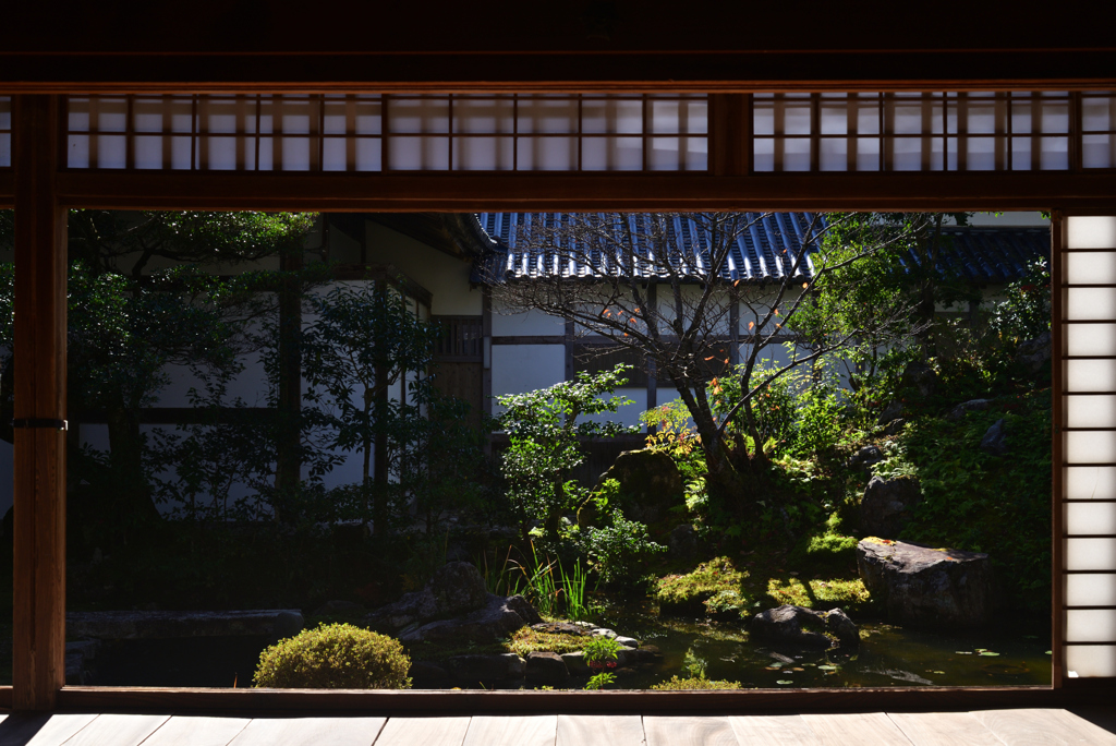 221125a浄住寺15