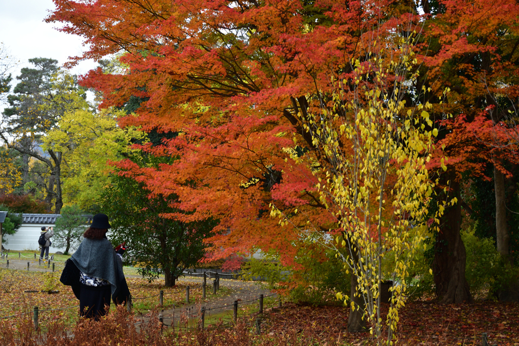 251128京都御苑11