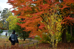 251128京都御苑11