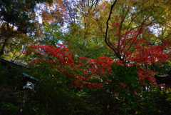 191129h長楽寺37