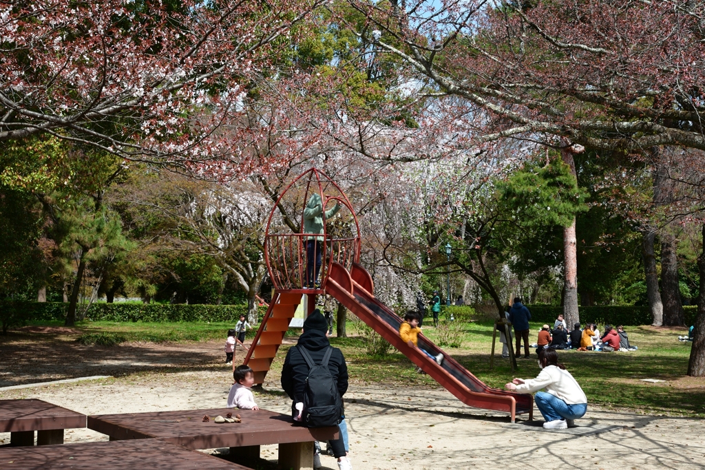 250330b京都御苑03