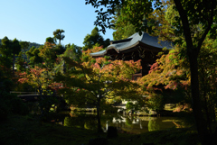 191109c清凉寺09