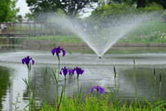 230610a白鷺公園24