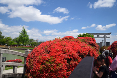 240425b長岡天満宮12