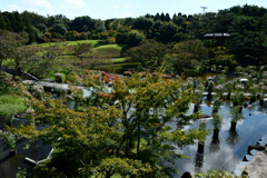 241014梅小路公園03