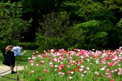 180516長居植物園06+