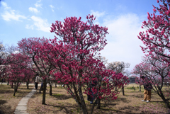 250307d梅小路公園03