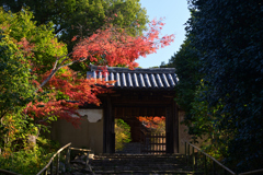 241210a白毫寺02