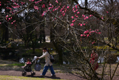 240316a京都植物園22