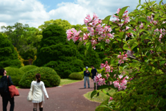 250504京都植物園12