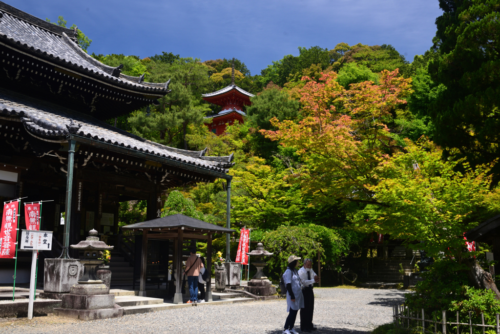 240525g今熊野観音寺09